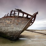 Surviving the tsunami of a job loss