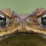 I know what you did. And I like it!