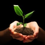 Think bigger and plant a tree