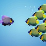 Becoming a solepreneur? Why the way you work won't work in your new venture