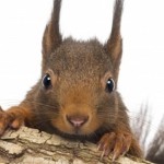 A simple habit to reduce distraction