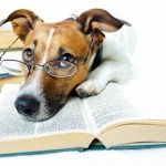 My Top-10 reading list for 2013