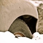 The Dream Tax Advantage