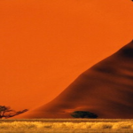 Don't be creepy. 10 questions to know if you're a scope creeper