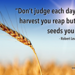 'Don't judge each day by the harvest you reap but by the seeds you plant' - Robert Lewis Stevenson