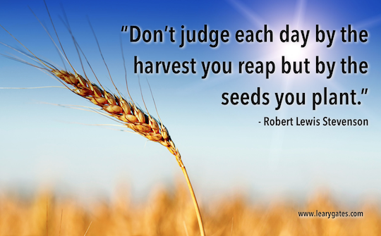 'Don't judge each day by the harvest you reap but by the seeds you plant' - Robert Lewis Stevenson