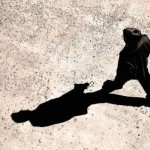 What I learned from my shadow