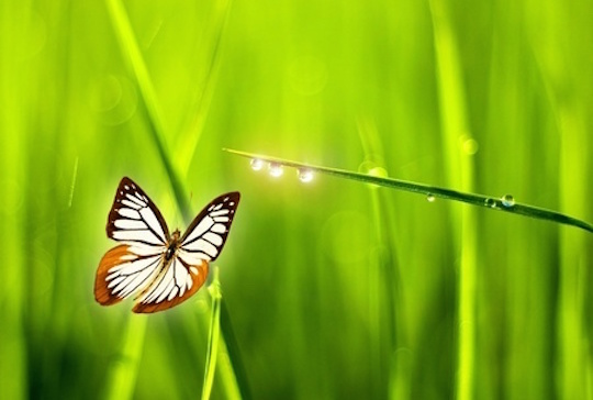 How to love the life you live [podcast with guest Amanda Carroll]