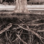 How to be a person of deep influence