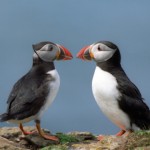 How reciprocal networking increases your strategic opportunities