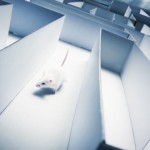 How to rise above any circumstance