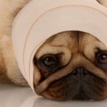 The wound you didn't want can be the gift the world needs