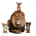 The art of vulnerability