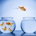 how to improve your odds of getting a promotion